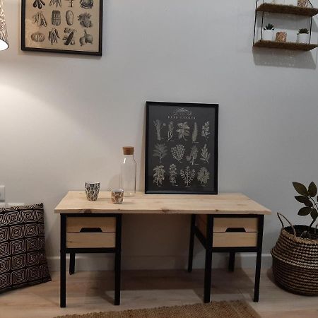 LOUHANS Les Petites Arcades avec ses deux appartements coté seille et coté jardin Exterior foto