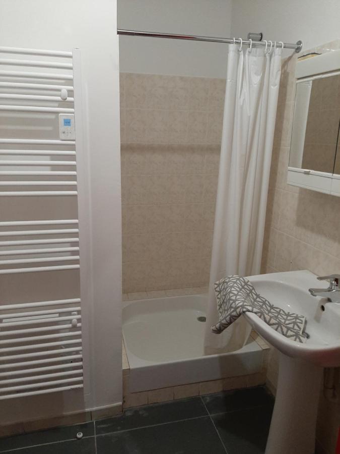 LOUHANS Les Petites Arcades avec ses deux appartements coté seille et coté jardin Exterior foto