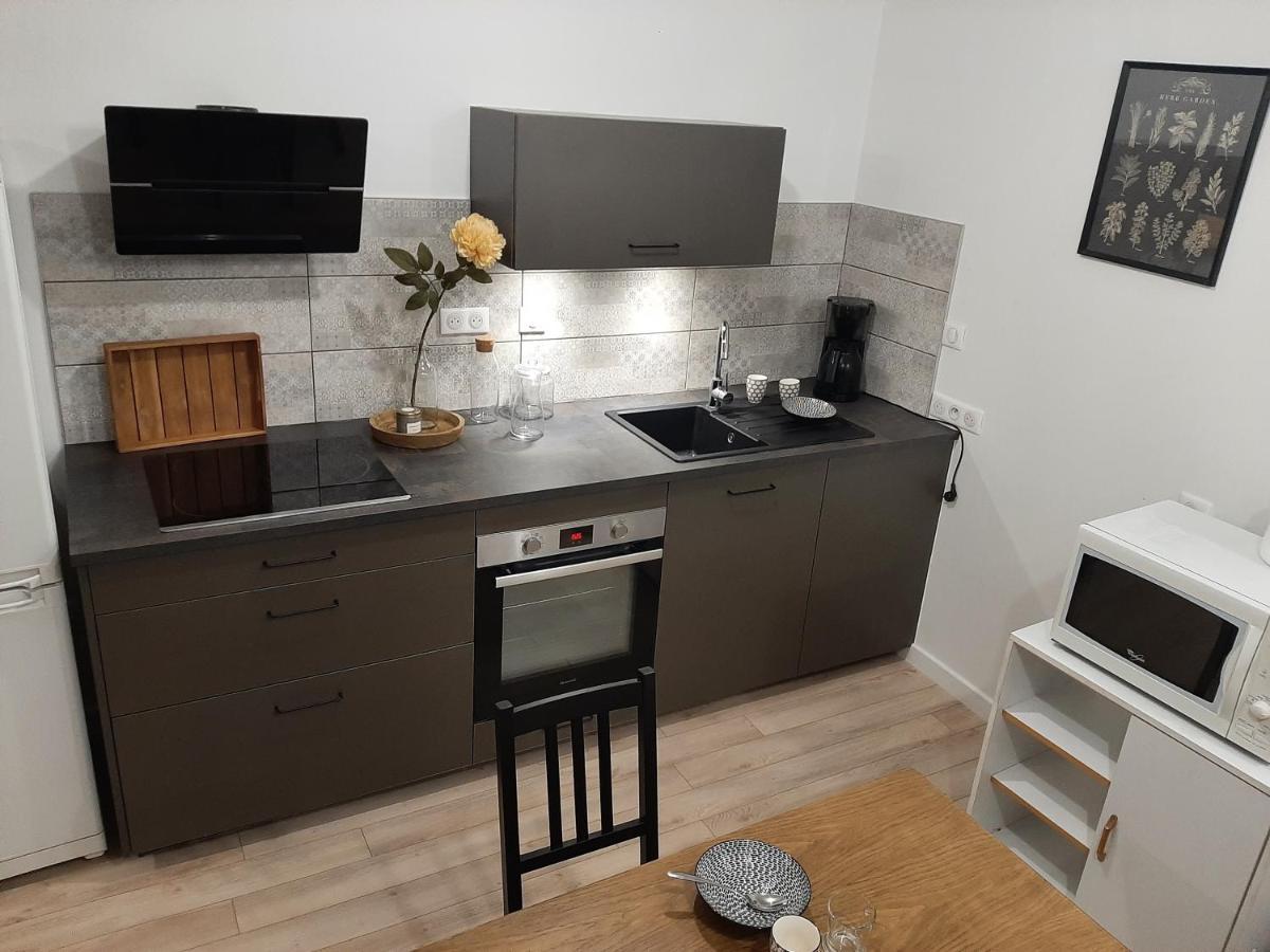 LOUHANS Les Petites Arcades avec ses deux appartements coté seille et coté jardin Exterior foto