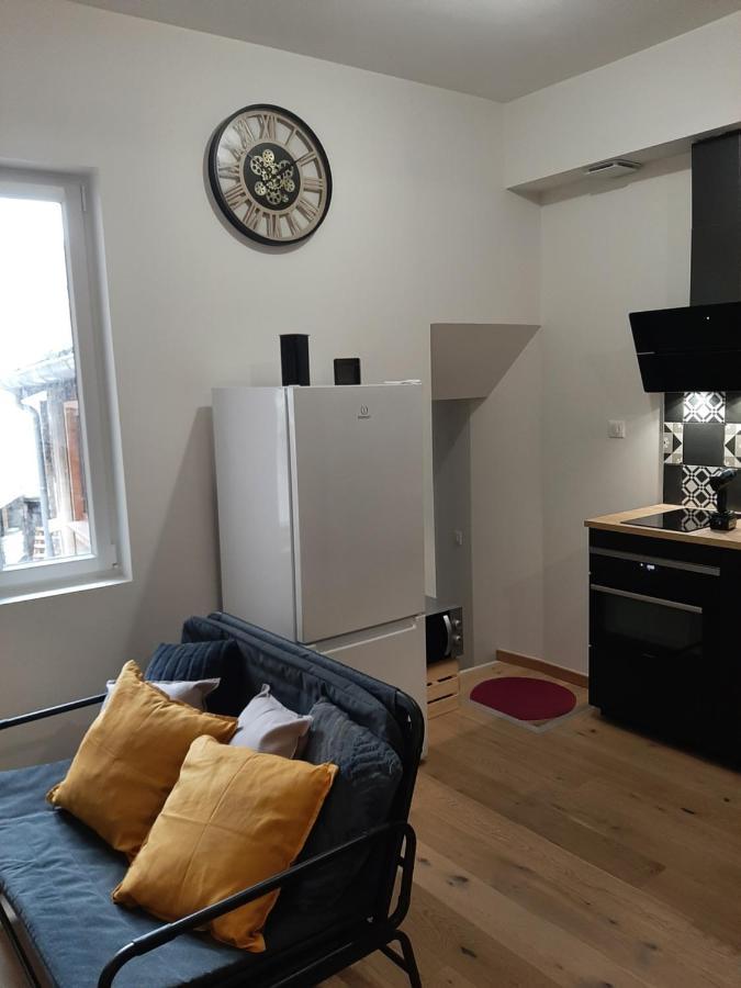 LOUHANS Les Petites Arcades avec ses deux appartements coté seille et coté jardin Exterior foto